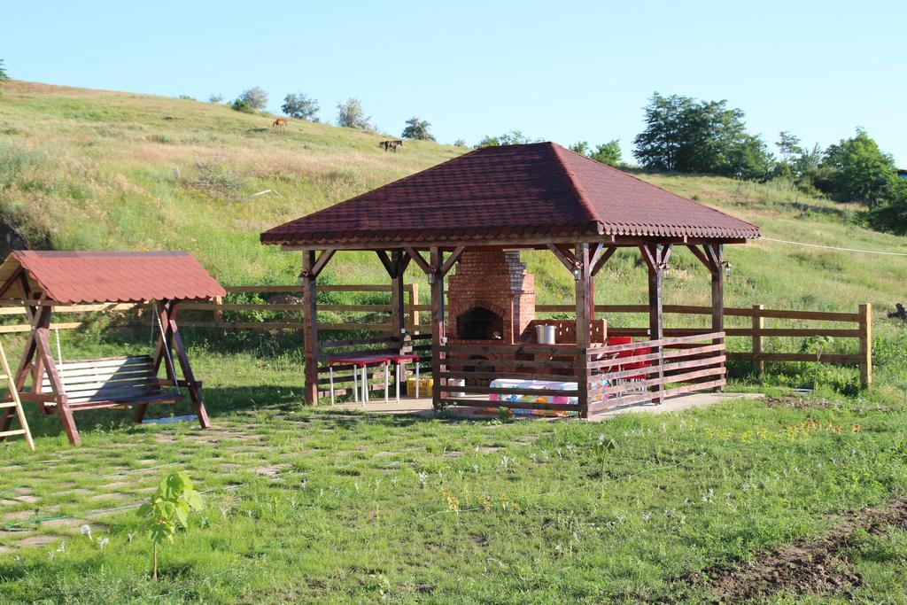 Pensiunea Fery Slobozia-Oancea Zewnętrze zdjęcie